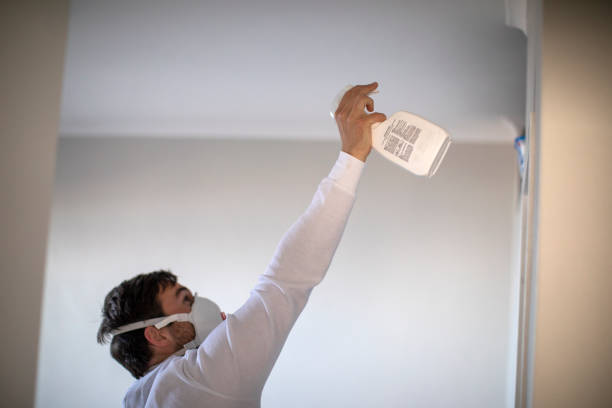 Best Black Mold Removal  in Cedar Knolls, NJ