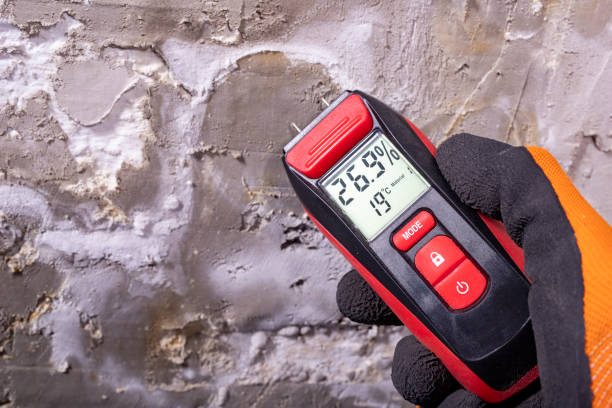 Water Damage Restoration in Cedar Knolls, NJ