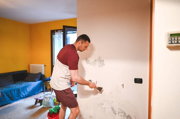 Best Mold Cleaning Services  in Cedar Knolls, NJ