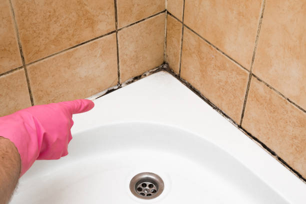 Best Commercial Mold Removal  in Cedar Knolls, NJ